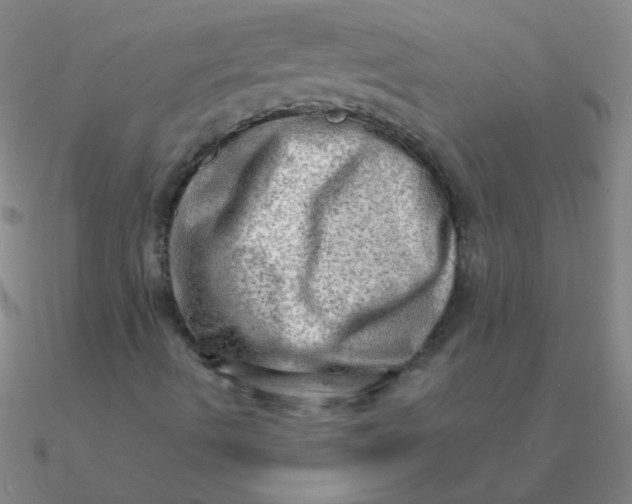 X0000090631490200708071235