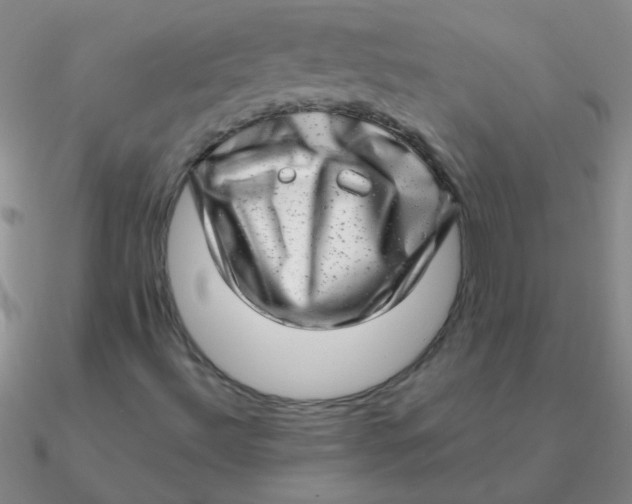 X0000090631492200708071235