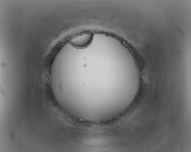X0000090631495200708071235