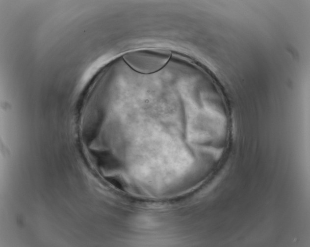 X0000090631501200708071235