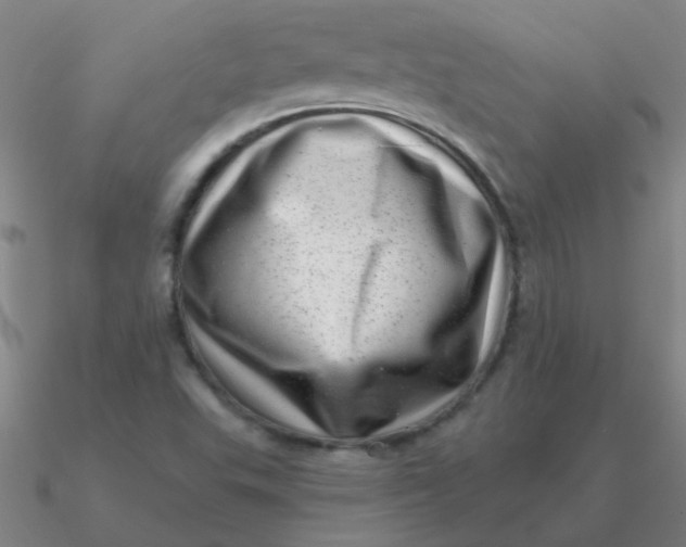 X0000090631503200708071235