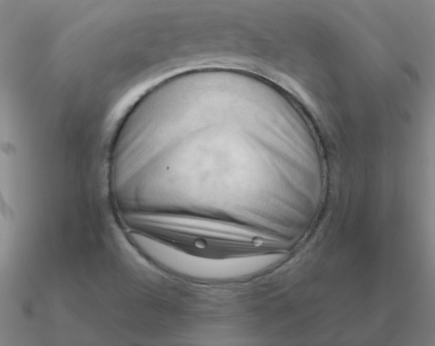 X0000090631504200708071235