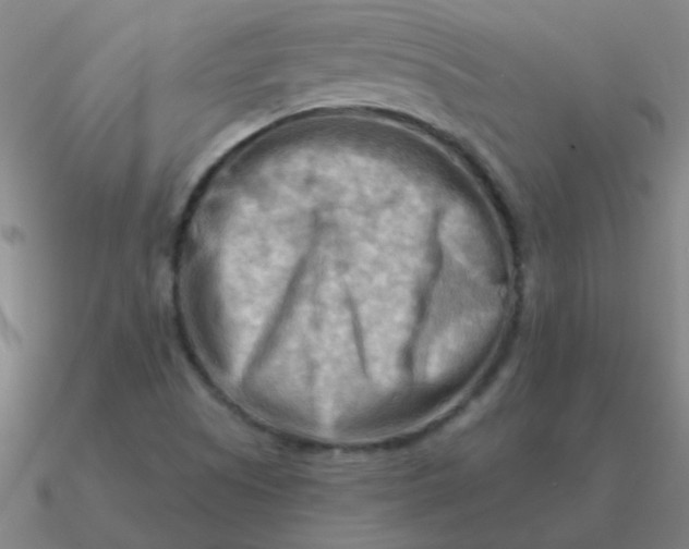 X0000090631505200708071235