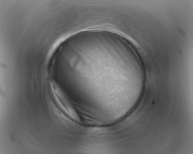 X0000090631506200708071235