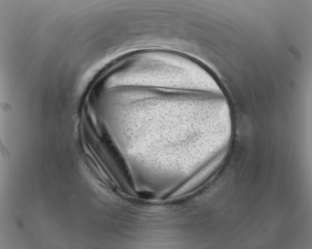 X0000090631507200708071235