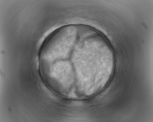 X0000090631509200708071235