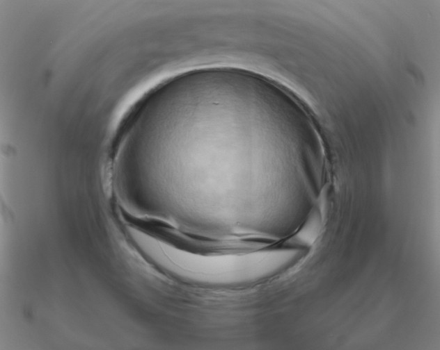 X0000090631510200708071235