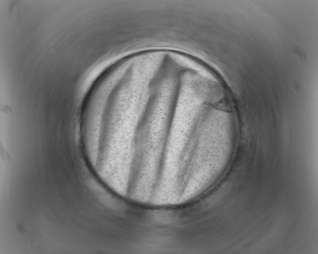 X0000090631511200708071235