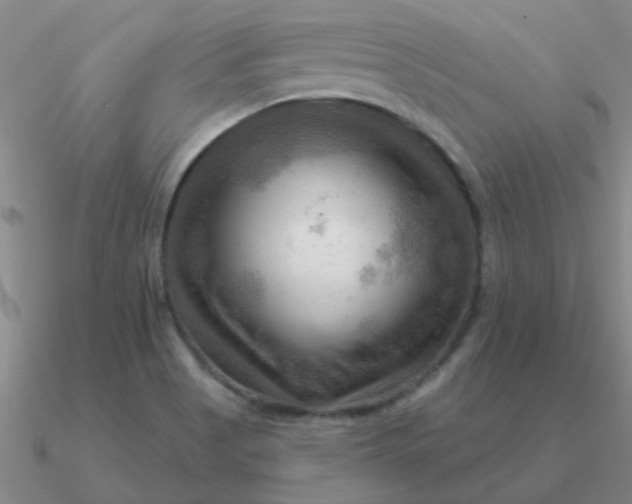 X0000090631513200708071235