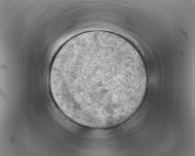 X0000090631514200708071235