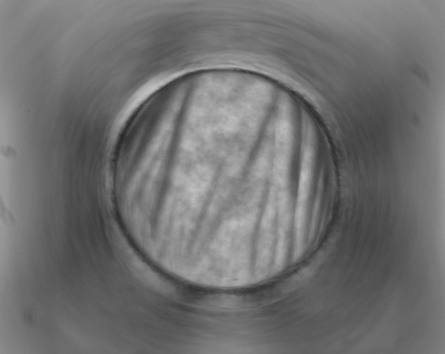 X0000090631517200708071235
