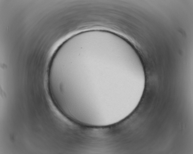 X0000090631518200708071235