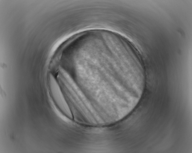 X0000090631519200708071235