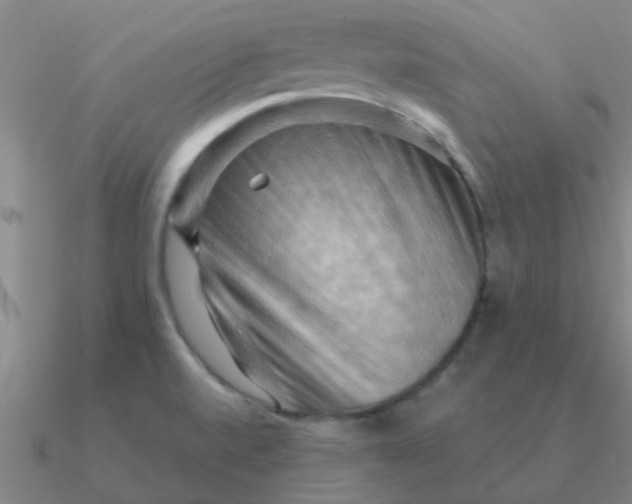 X0000090631520200708071235