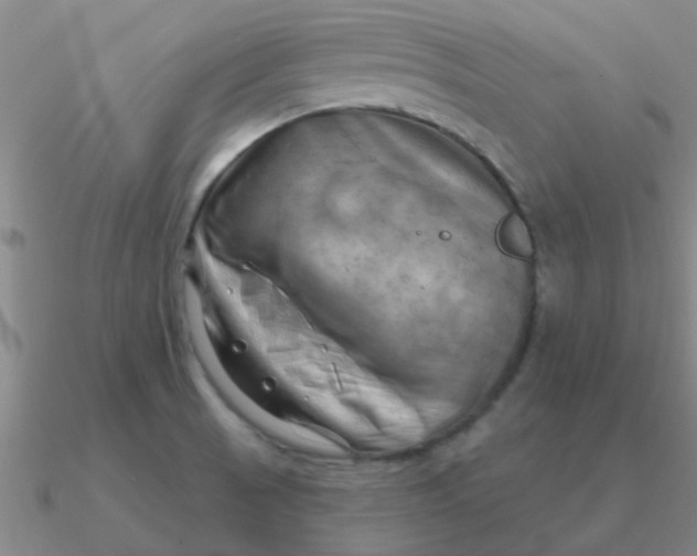 X0000090631521200708071235