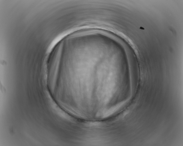 X0000090631522200708071235