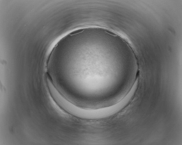 X0000090631524200708071235