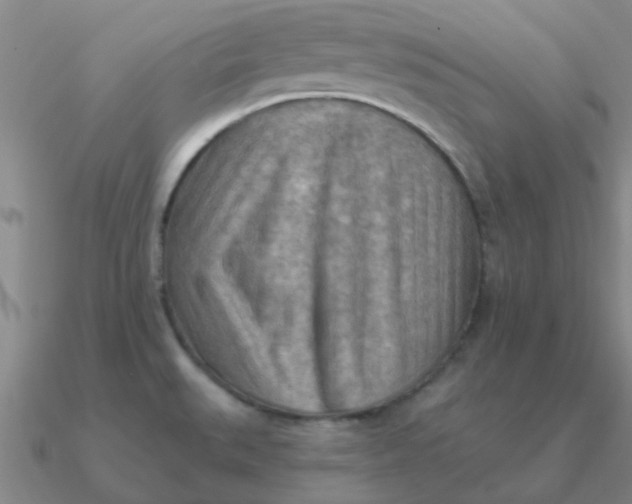 X0000090631527200708071235