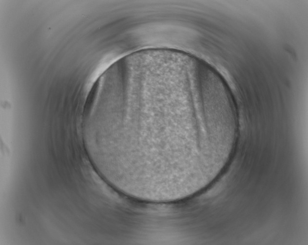 X0000090631529200708071235
