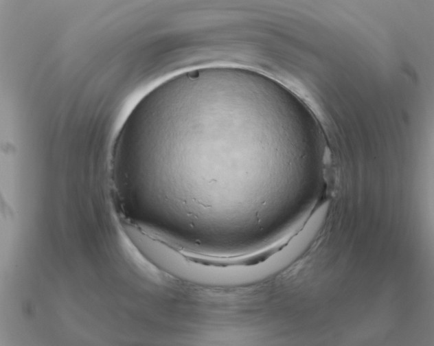 X0000090631532200708071235