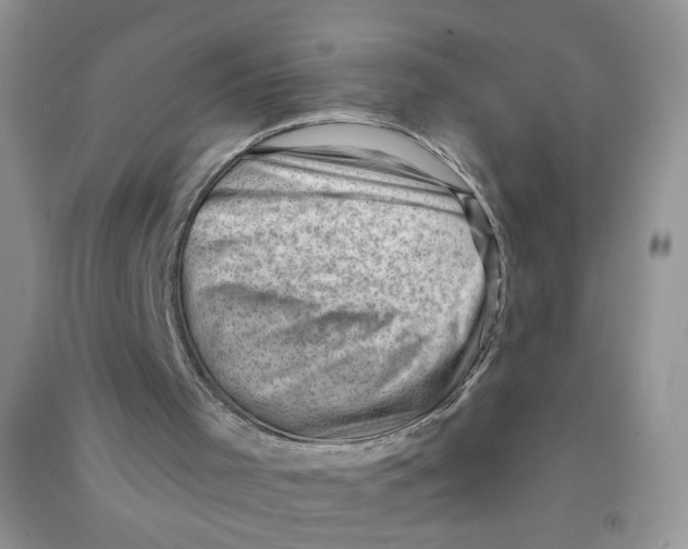 X0000090630001200708141444
