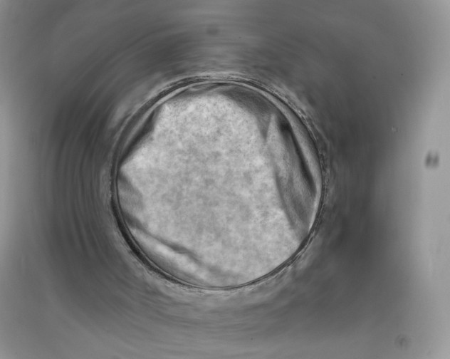 X0000090630002200708141444