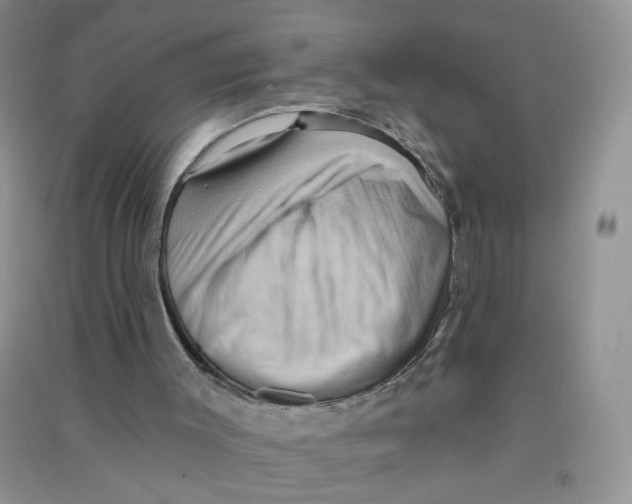 X0000090630003200708141444
