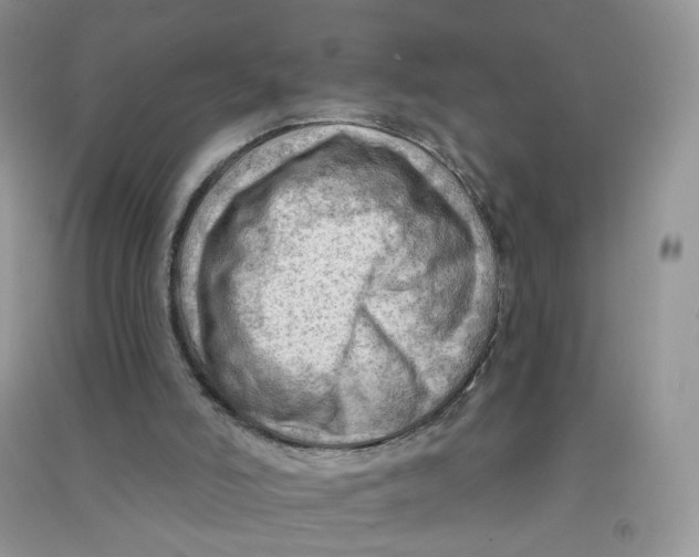 X0000090630006200708141444