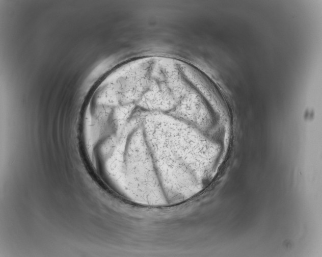 X0000090630007200708141444