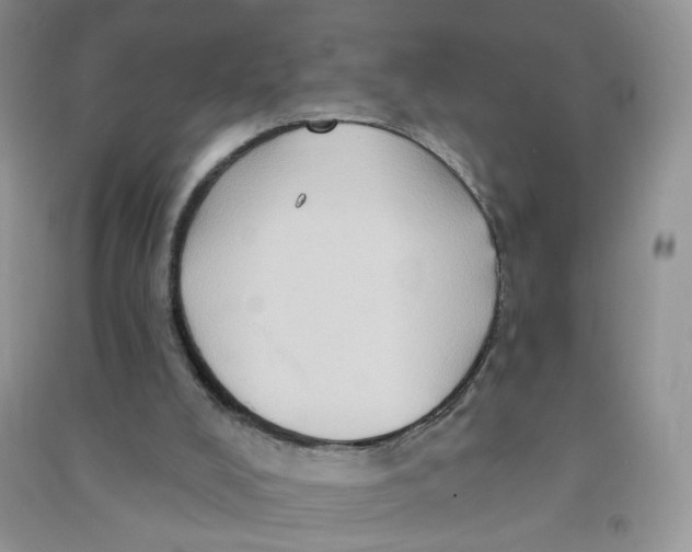 X0000090630008200708141444