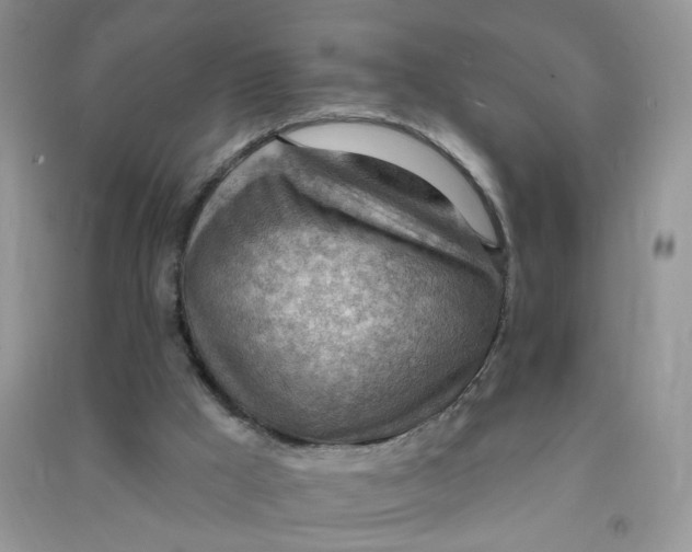 X0000090630009200708141444