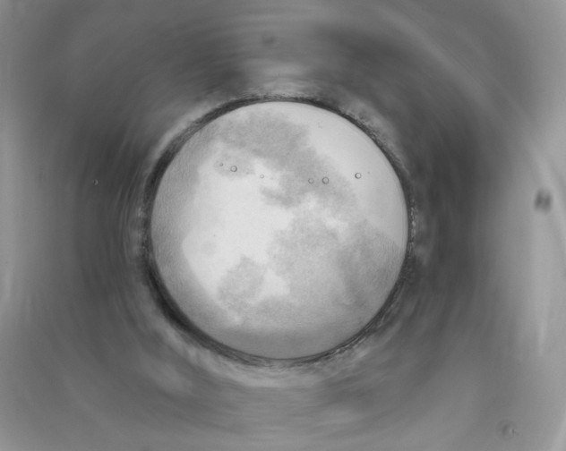 X0000090630012200708141444