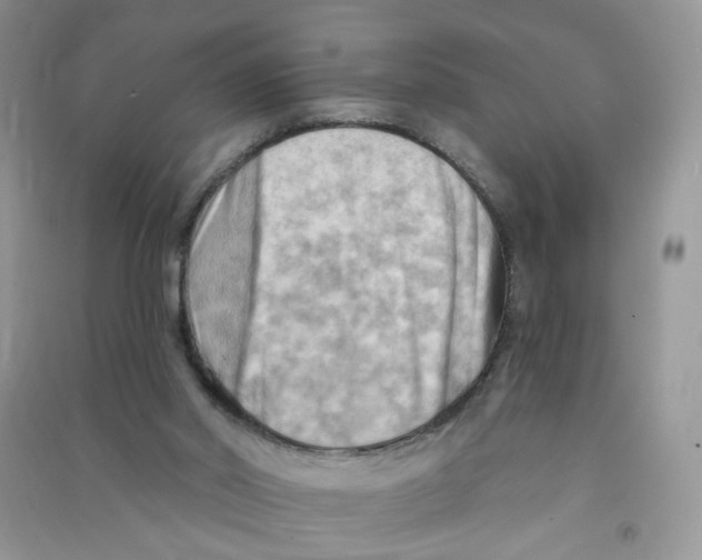 X0000090630014200708141444