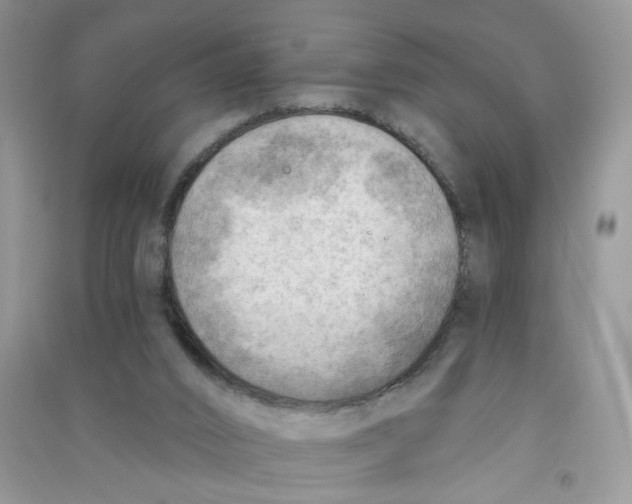 X0000090630016200708141444
