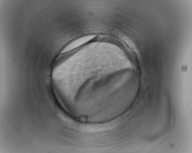 X0000090630017200708141444