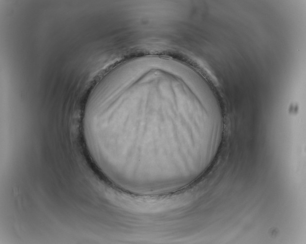 X0000090630018200708141444