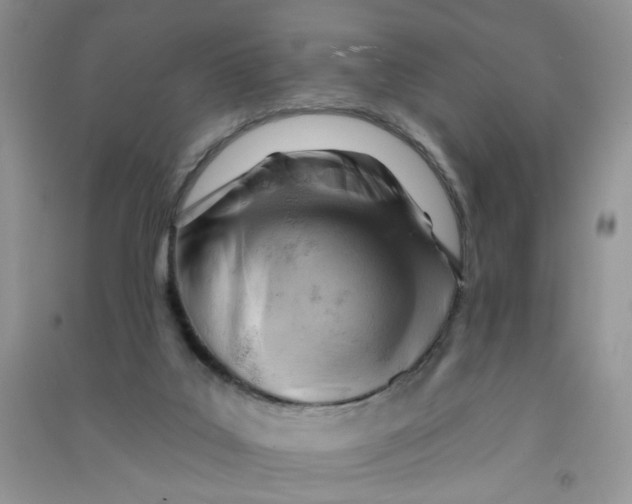 X0000090630019200708141444