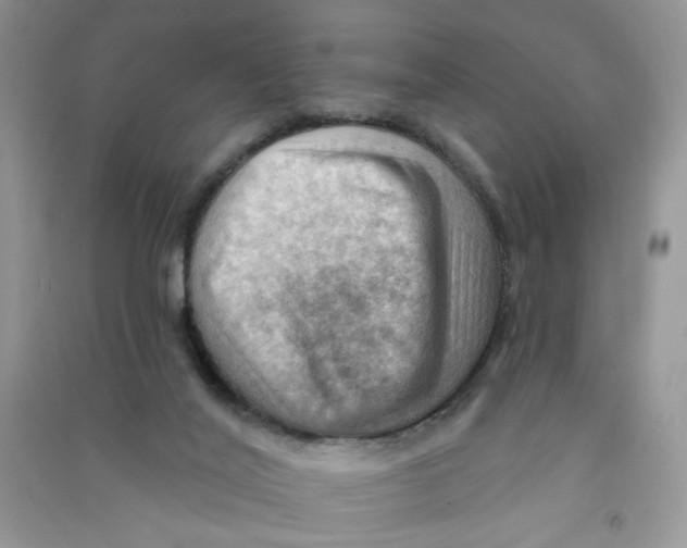 X0000090630020200708141444