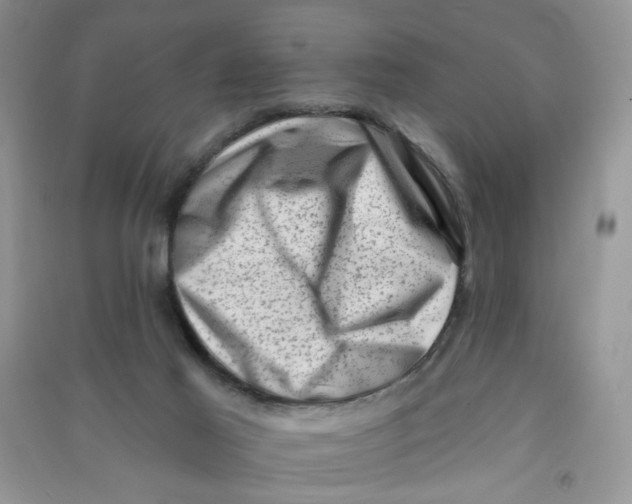 X0000090630021200708141444