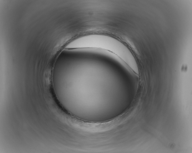 X0000090630023200708141444