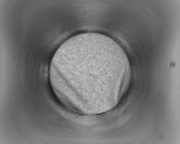 X0000090630024200708141444