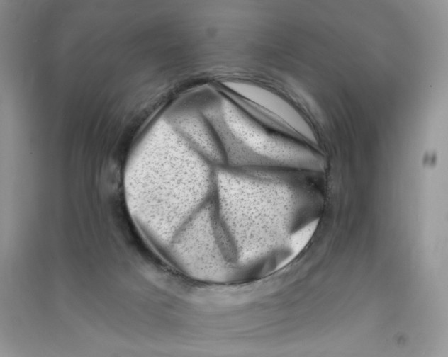 X0000090630025200708141444