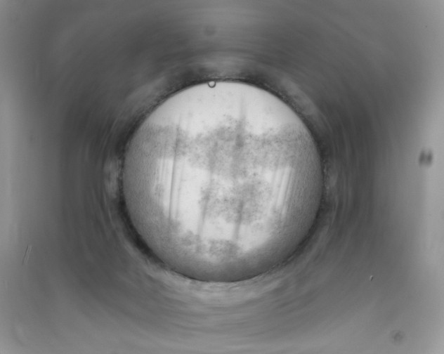 X0000090630026200708141444