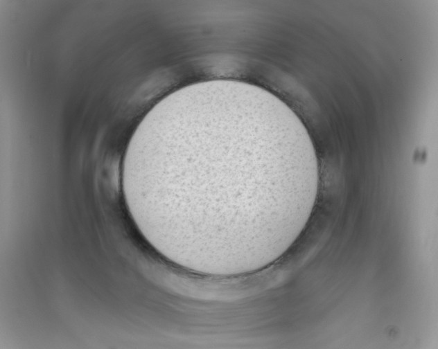 X0000090630028200708141444