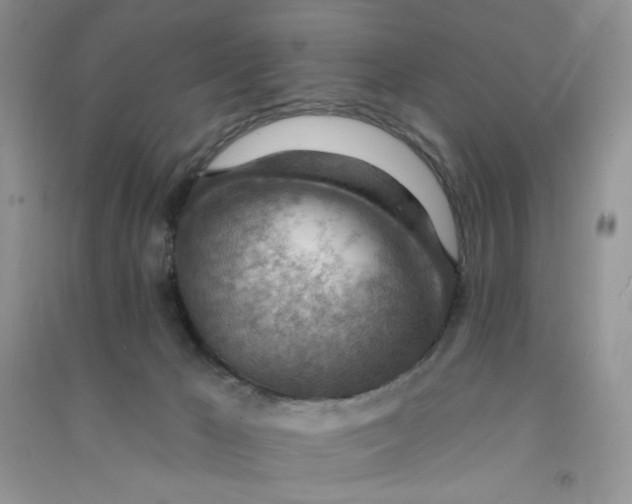 X0000090630029200708141444