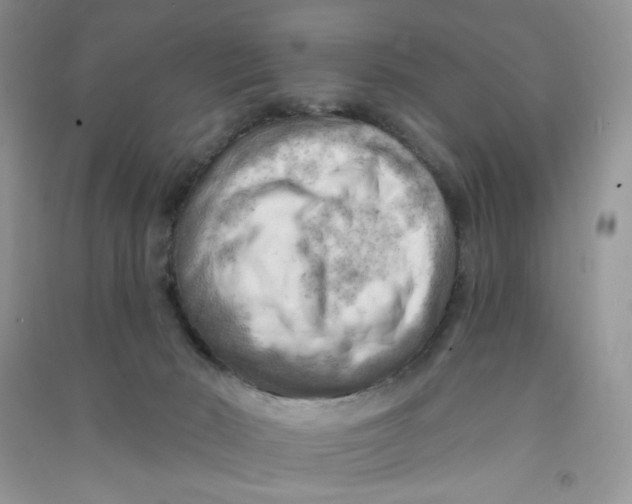 X0000090630030200708141444