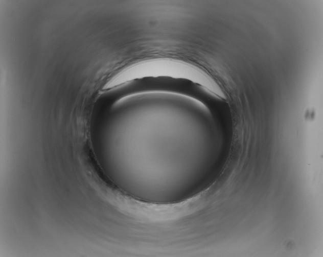 X0000090630031200708141444
