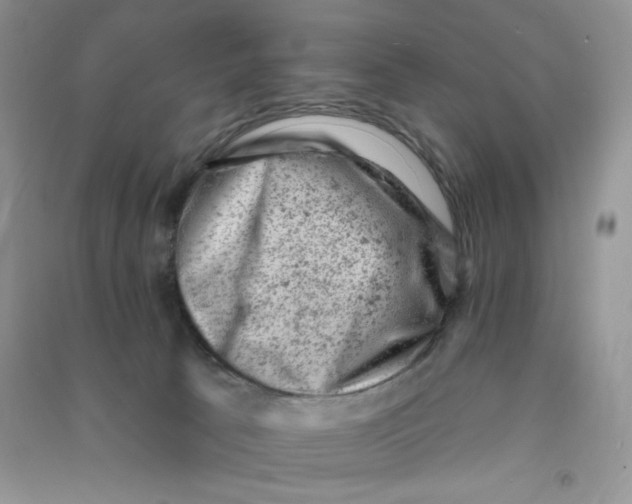 X0000090630033200708141444