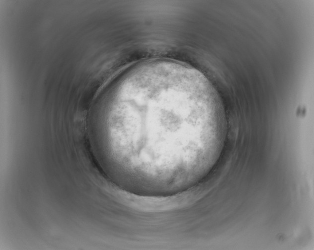 X0000090630034200708141444