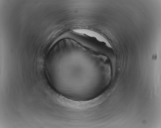 X0000090630035200708141444